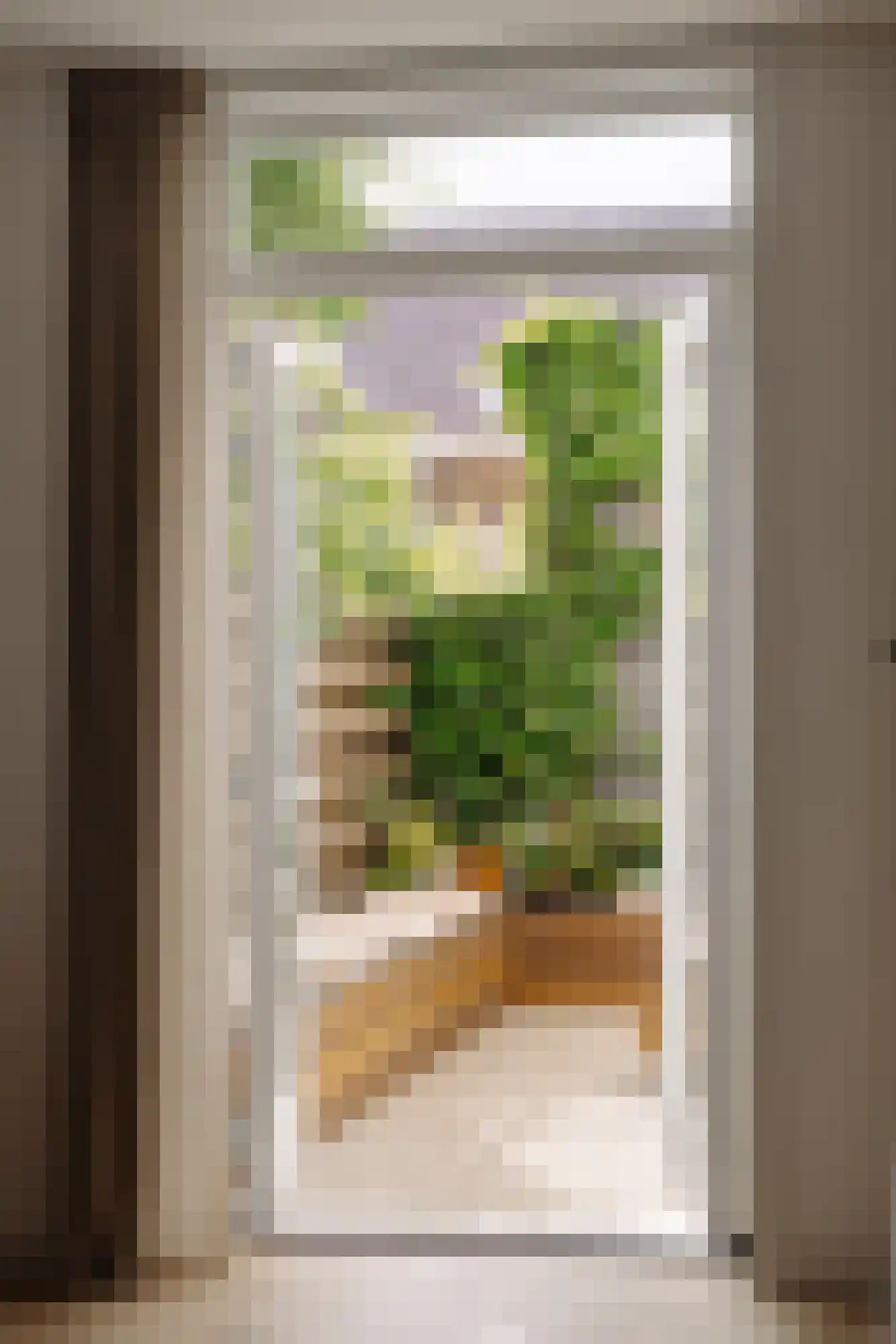 Plantage Lepellaan 2 Amsterdam thumbnail 20