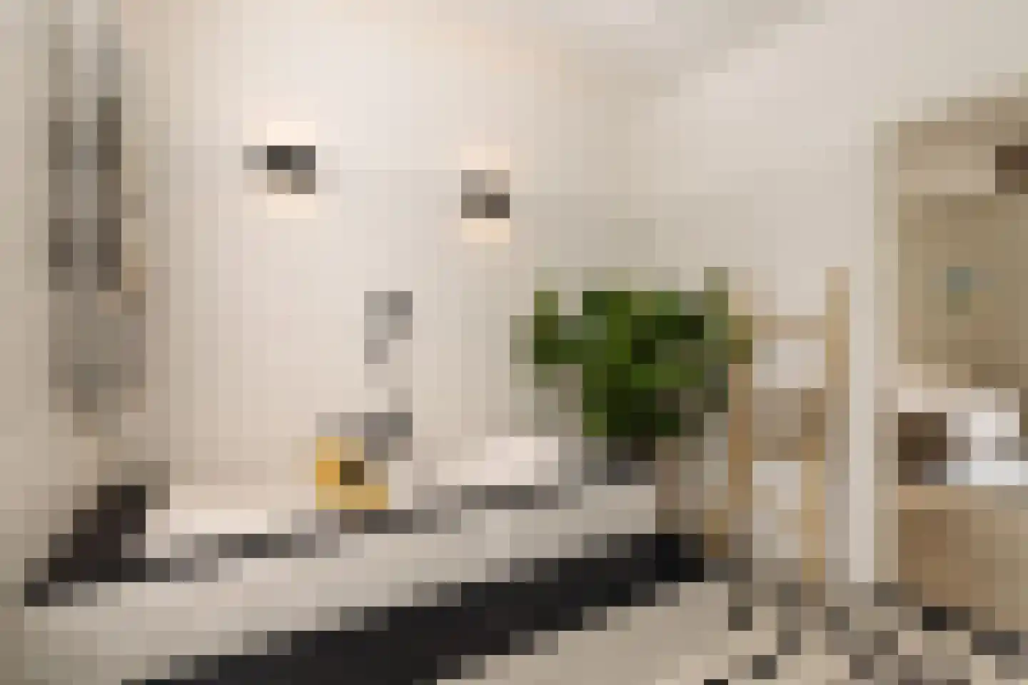 Plantage Lepellaan 2 Amsterdam thumbnail 20