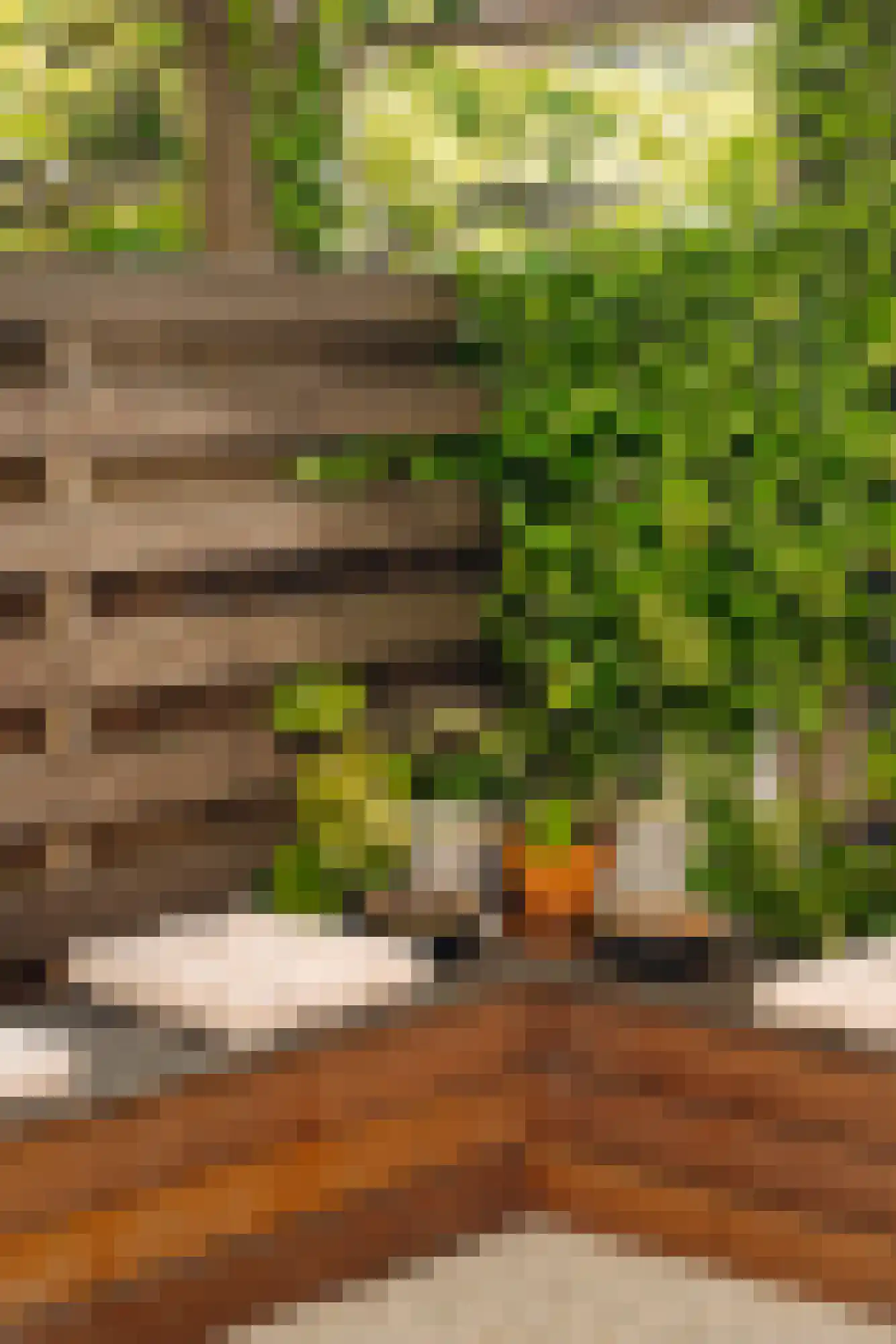Plantage Lepellaan 2 Amsterdam thumbnail 22