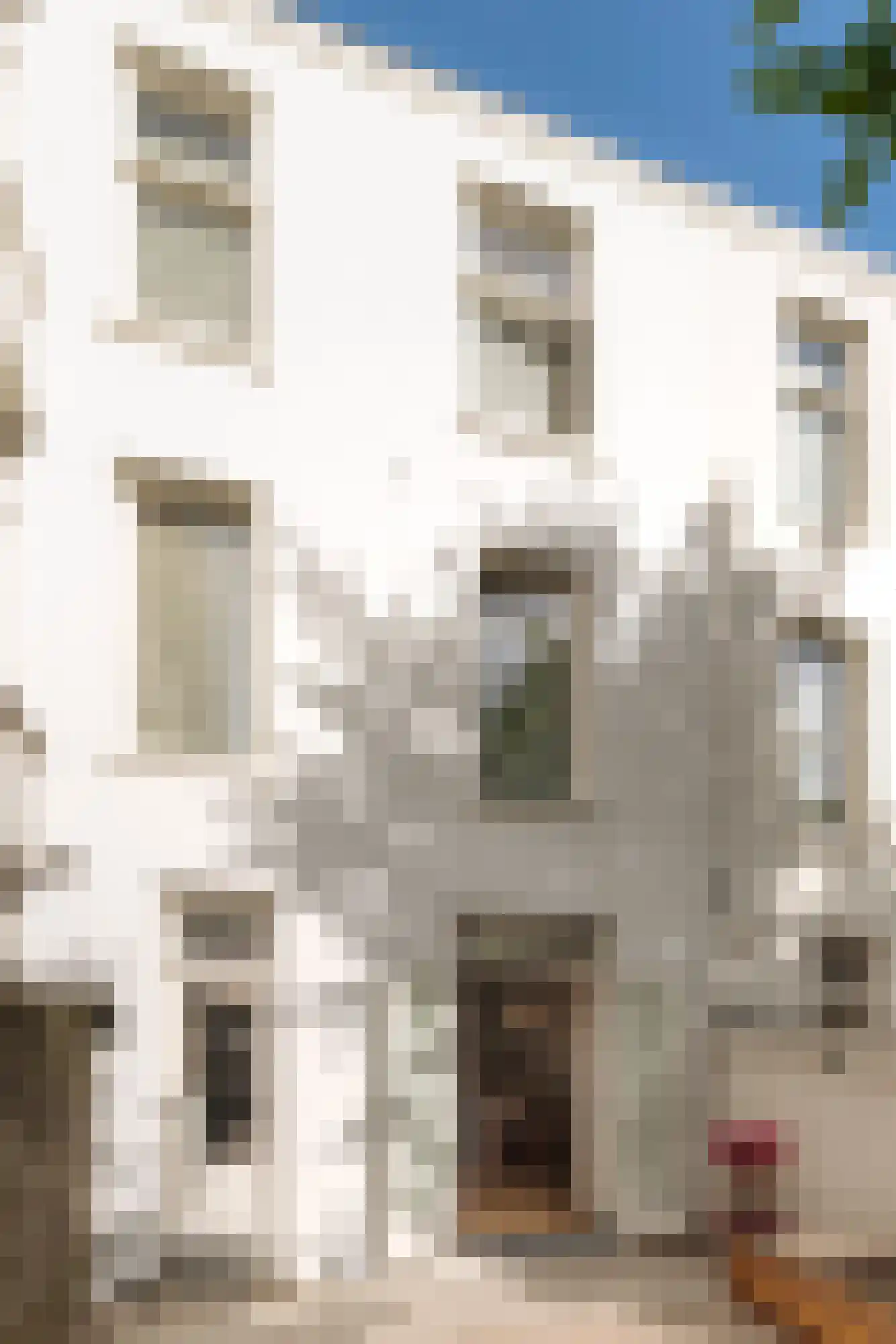 Plantage Lepellaan 2 Amsterdam thumbnail 23
