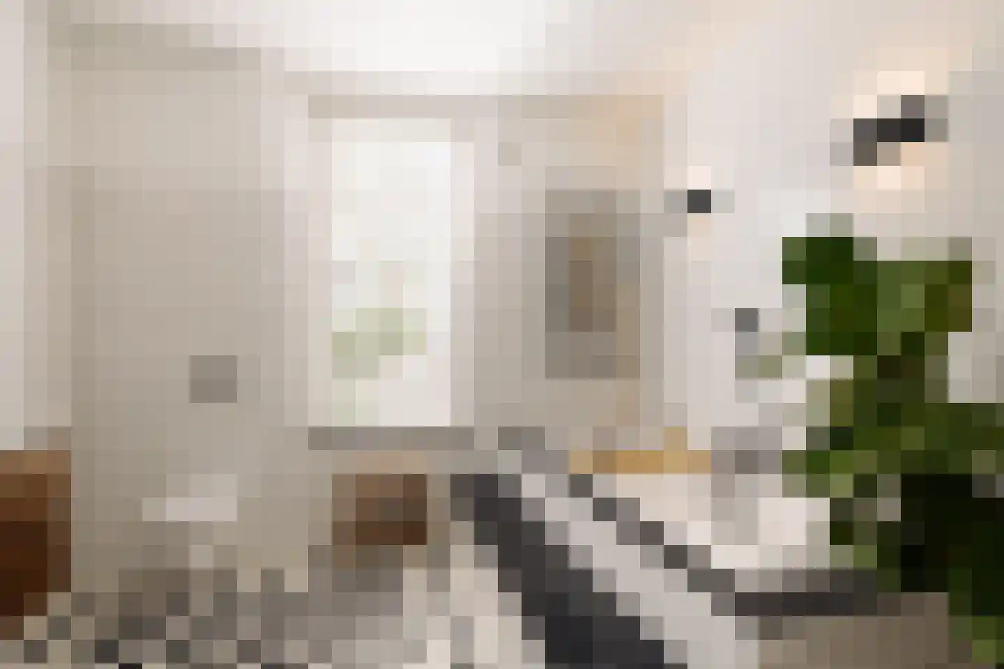 Plantage Lepellaan 2 Amsterdam thumbnail 25