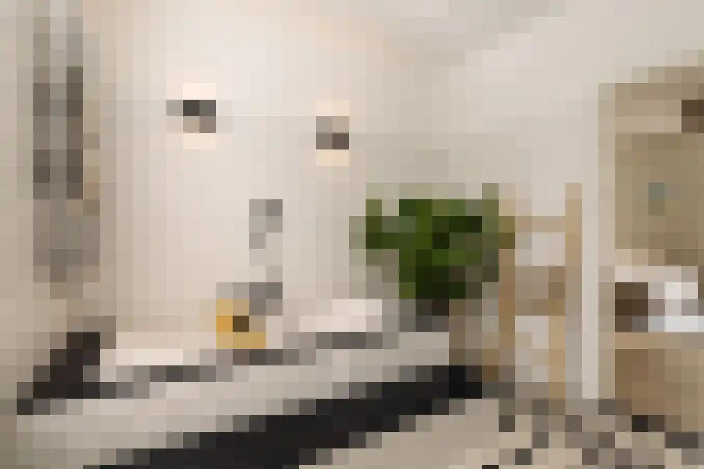 Plantage Lepellaan 2 Amsterdam thumbnail 26