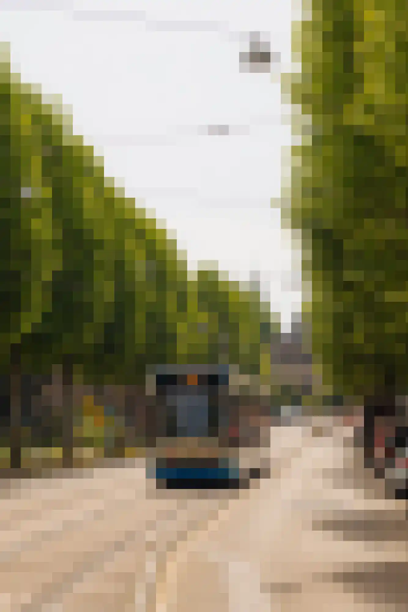 Plantage Lepellaan 2 Amsterdam thumbnail 34