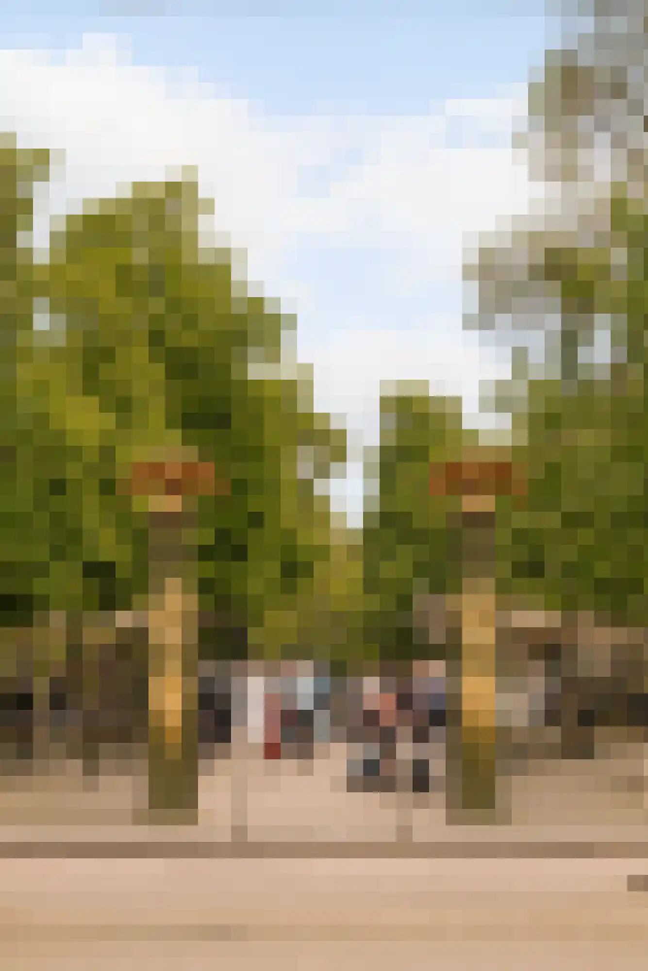 Plantage Lepellaan 2 Amsterdam thumbnail 35