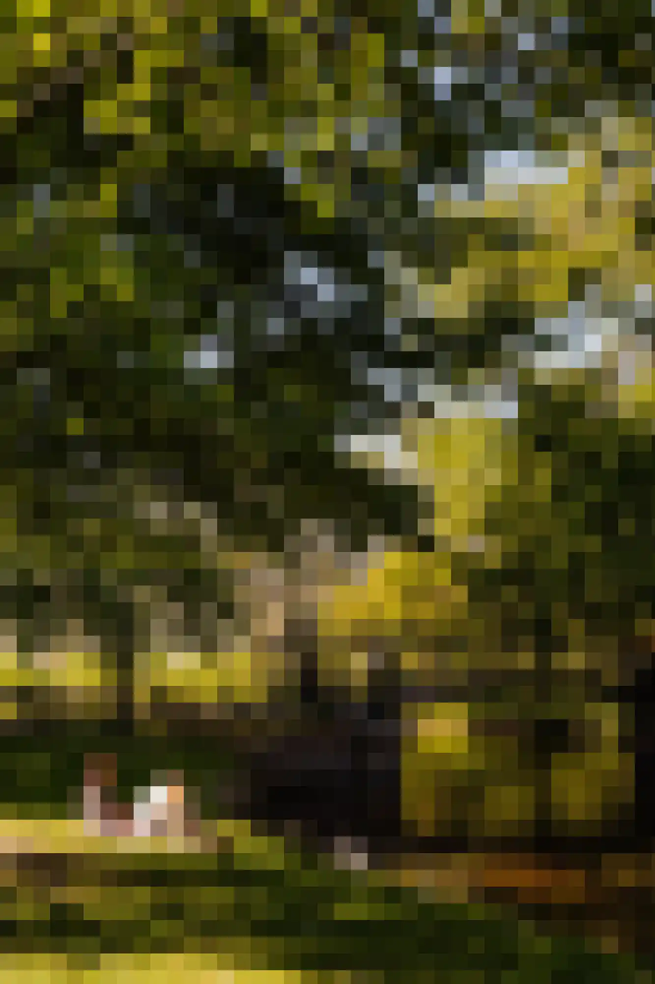Plantage Lepellaan 2 Amsterdam thumbnail 37