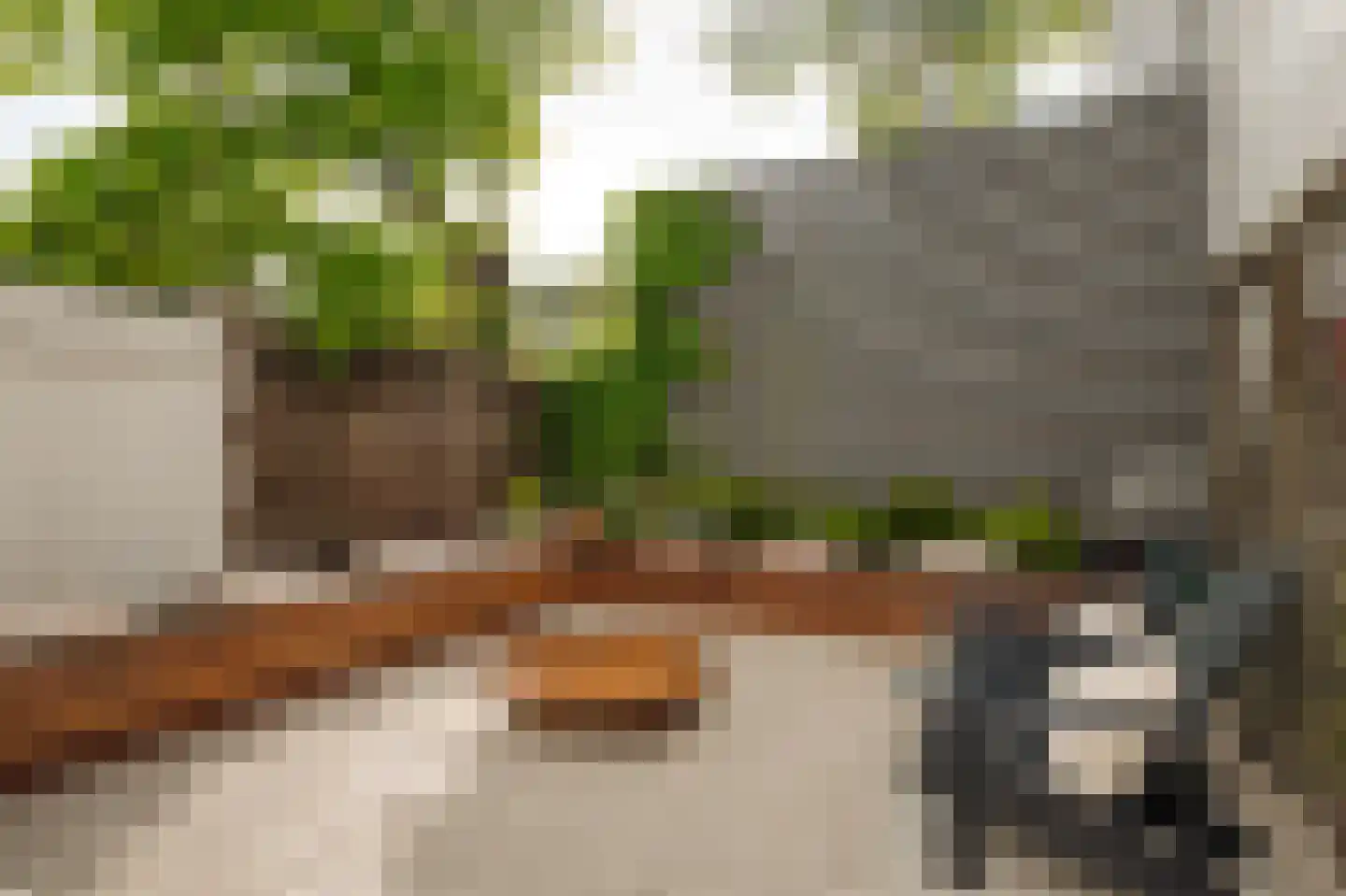 Plantage Lepellaan 2 Amsterdam thumbnail 4