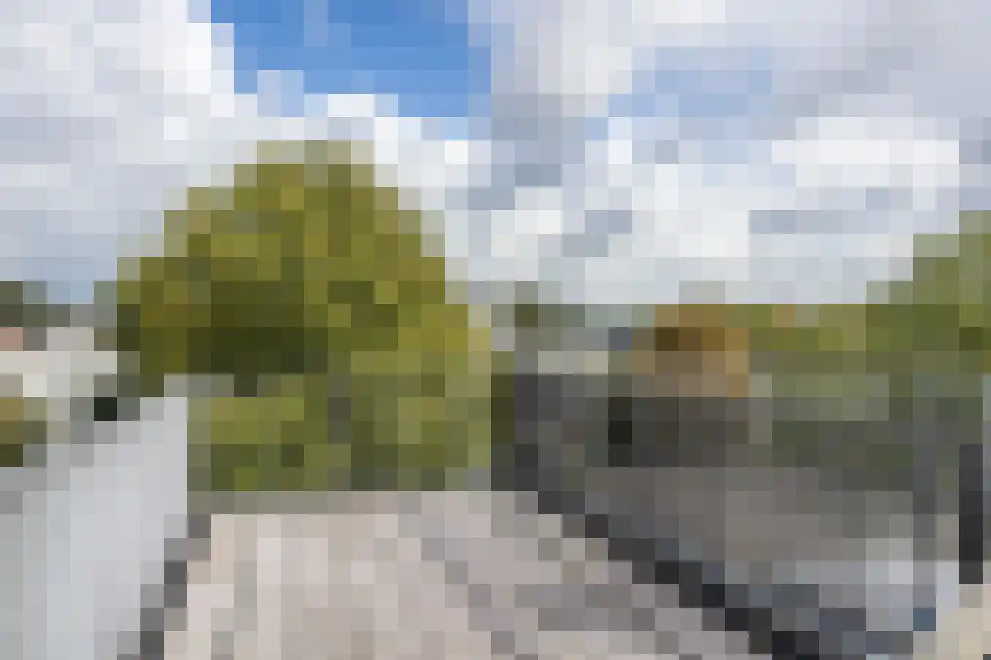 Plantage Middenlaan 7 C Amsterdam thumbnail 12