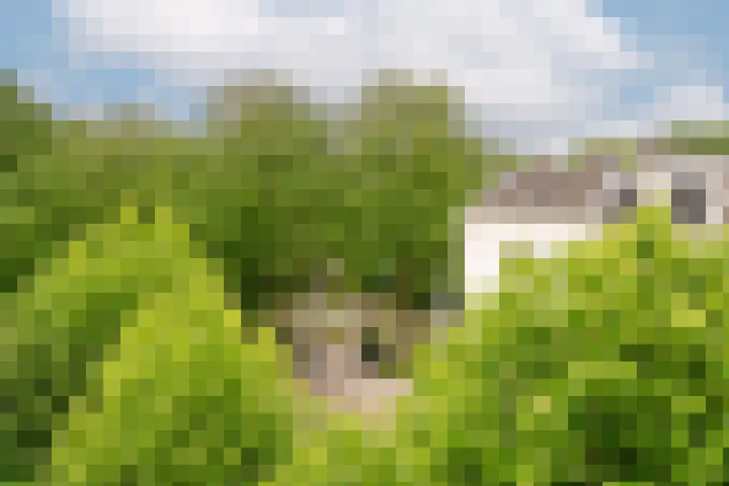 Plantage Middenlaan 8 D Amsterdam thumbnail 23