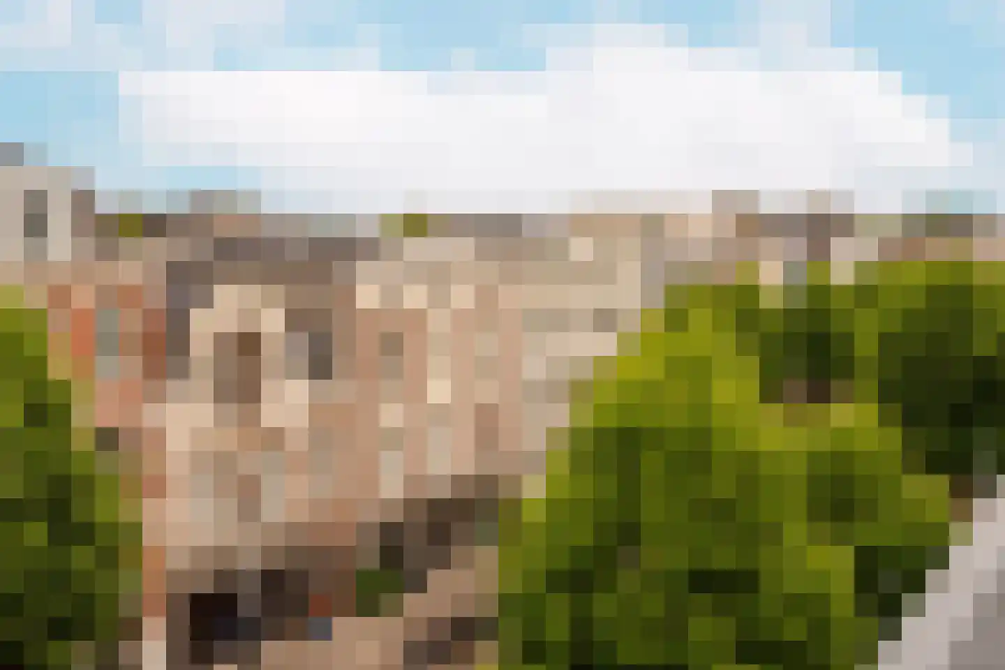 Plantage Middenlaan 8 D Amsterdam thumbnail 23