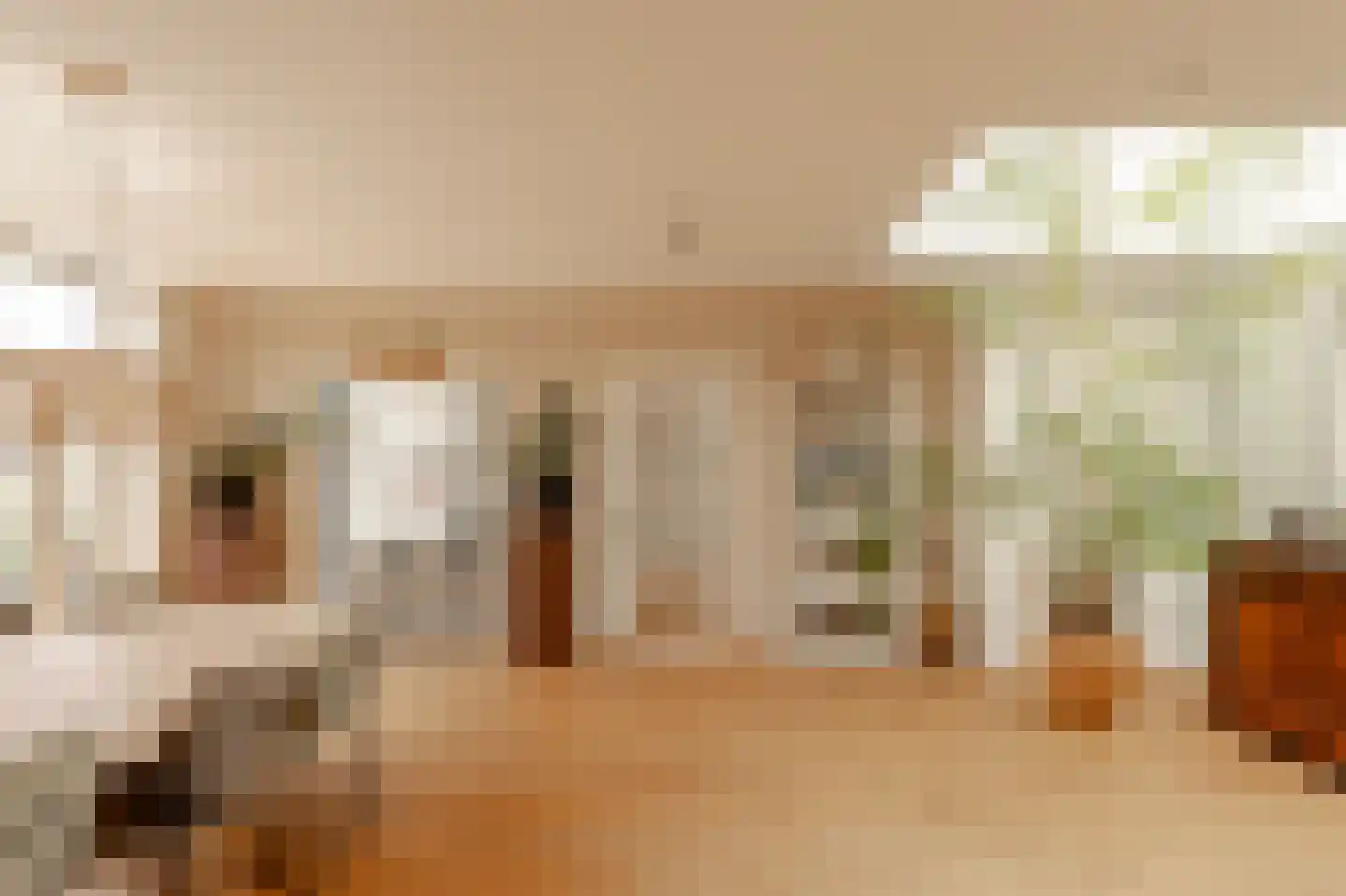 Plantage Middenlaan 8 D Amsterdam thumbnail 26