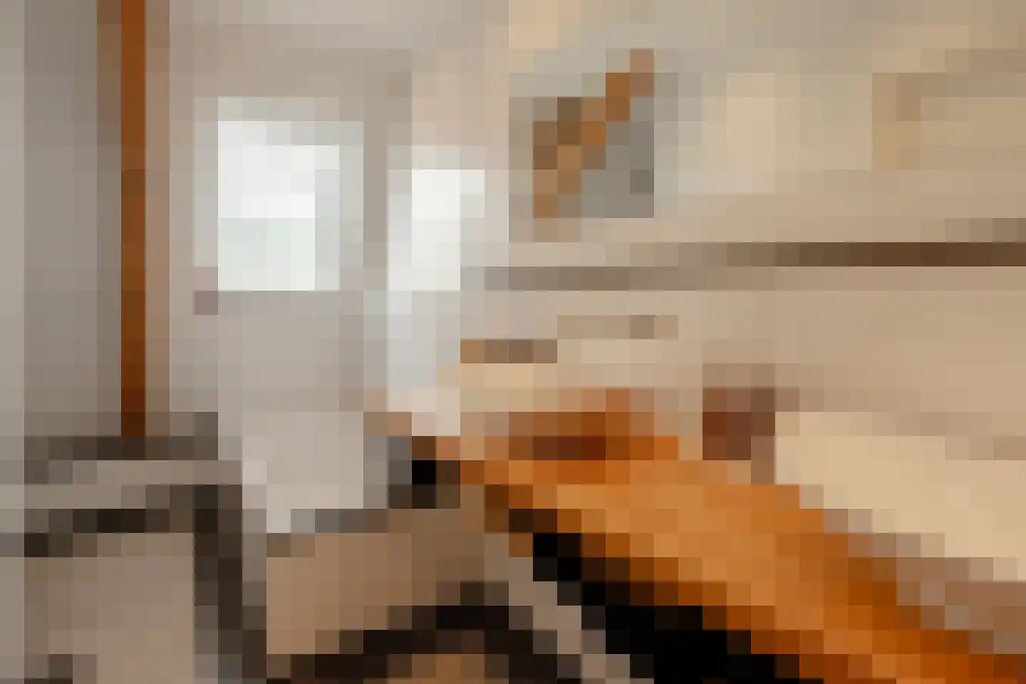 Plantage Middenlaan 8 D Amsterdam thumbnail 34