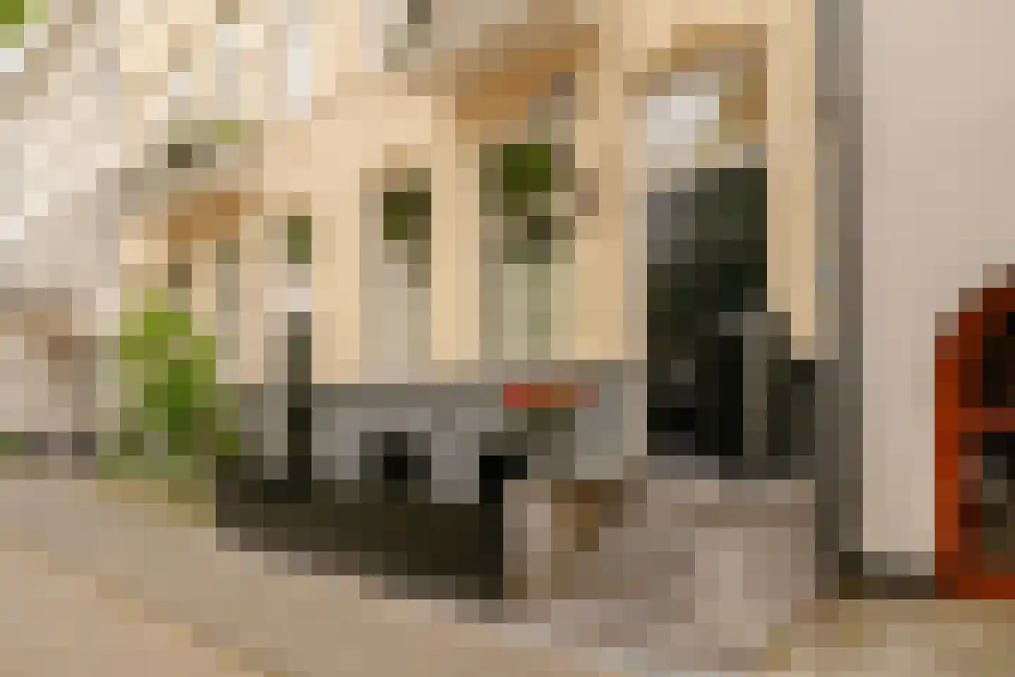 Plantage Middenlaan 8 D Amsterdam thumbnail 47