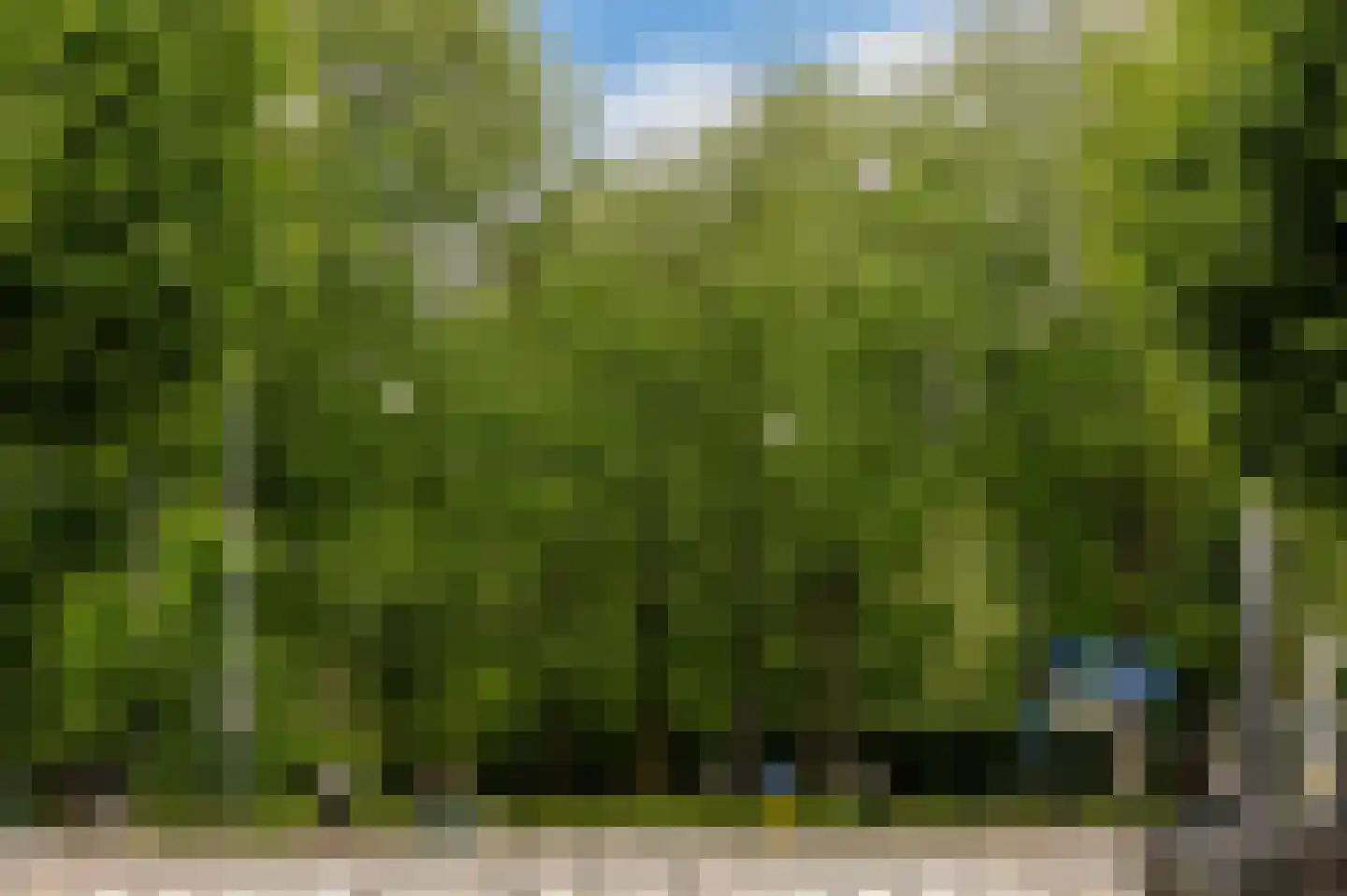 Plantage Middenlaan 8 D Amsterdam thumbnail 51
