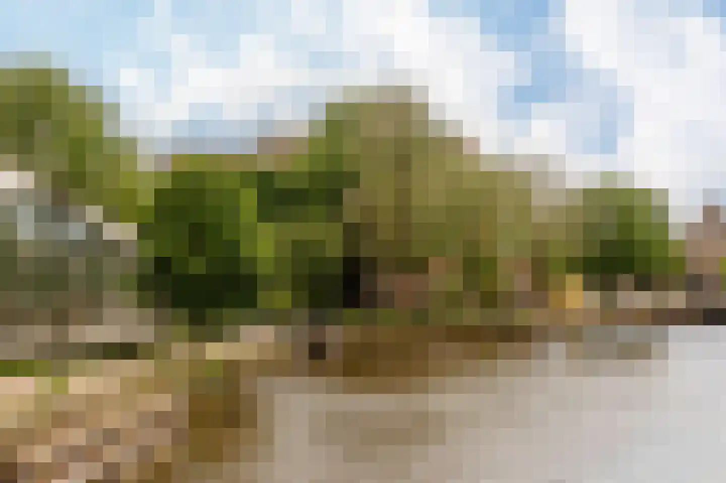 Plantage Middenlaan 8 D Amsterdam thumbnail 55