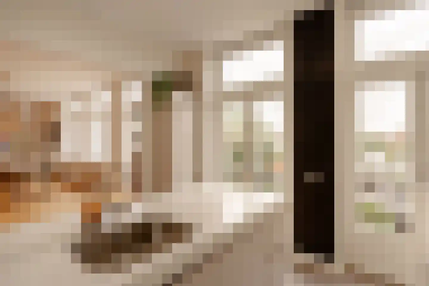 Plantage Middenlaan 8 D Amsterdam thumbnail 7