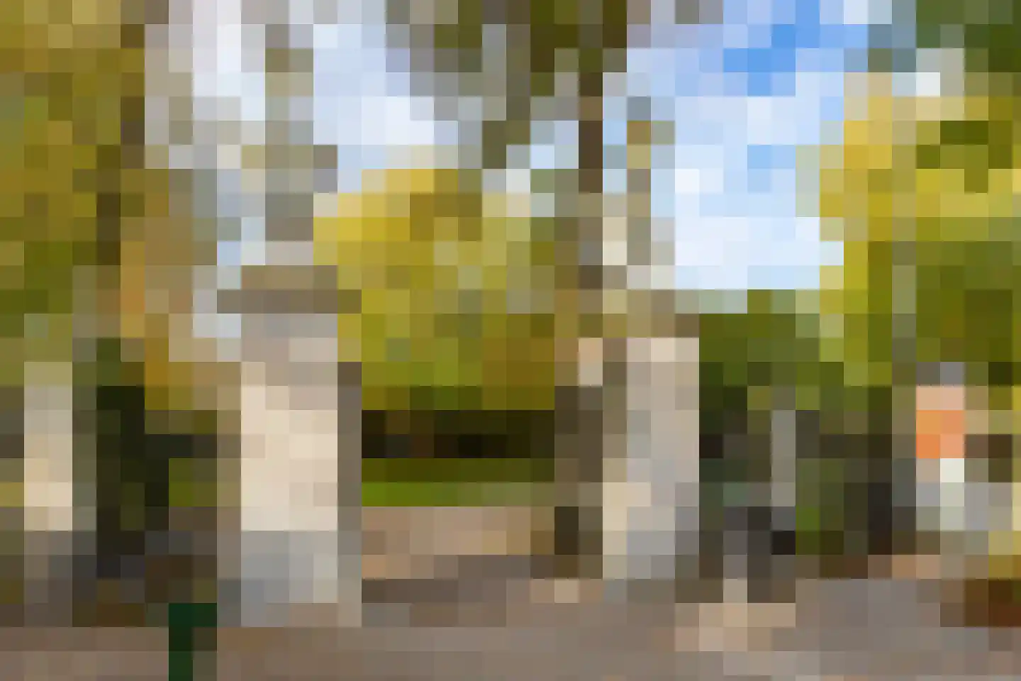 Plantage Middenlaan 80 Amsterdam thumbnail 60