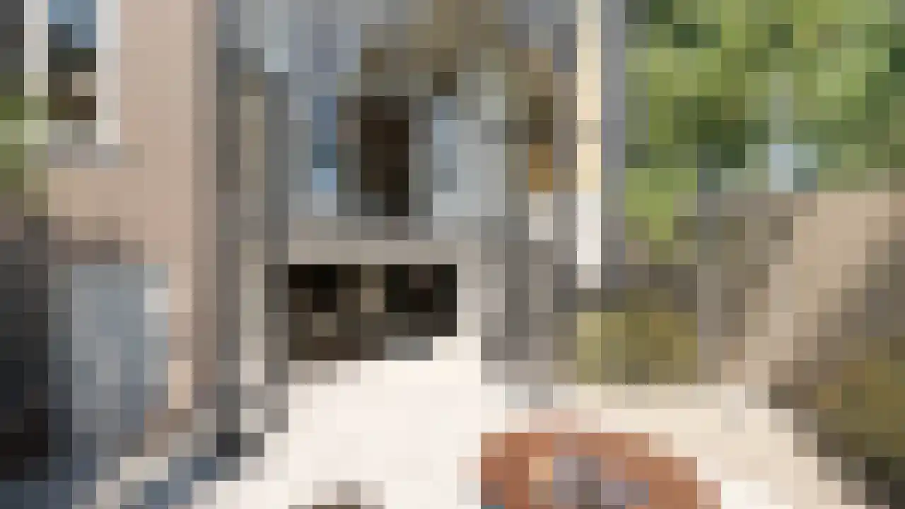 Plantage Middenlaan 80 Amsterdam thumbnail 9