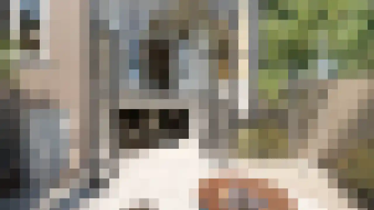 Plantage Middenlaan 80 Amsterdam thumbnail 9