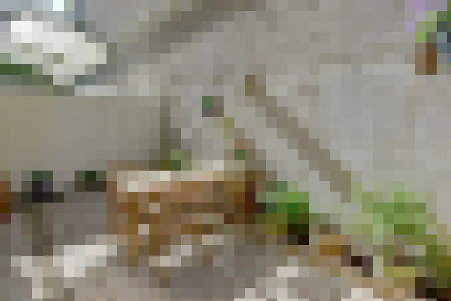 Plantage Middenlaan 84 1 Amsterdam thumbnail 43