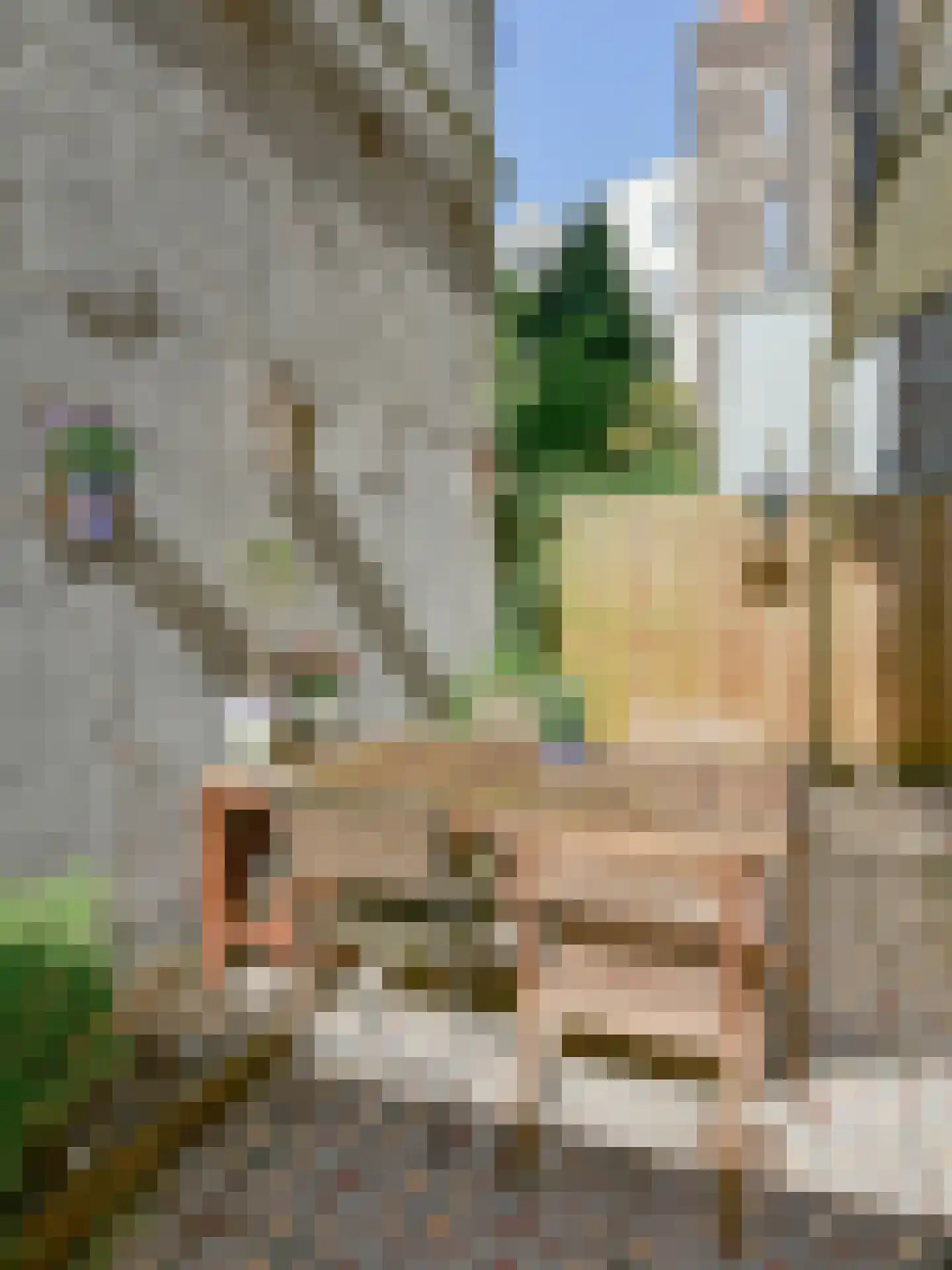 Plantage Middenlaan 84 1 Amsterdam thumbnail 45
