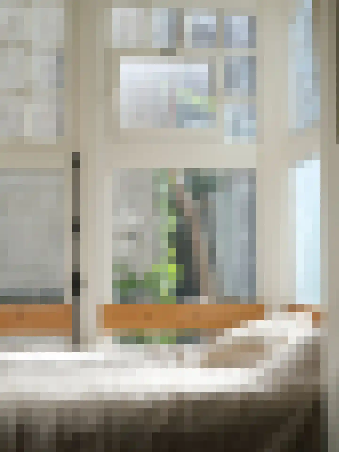 Plantage Middenlaan 84 3 Amsterdam thumbnail 41