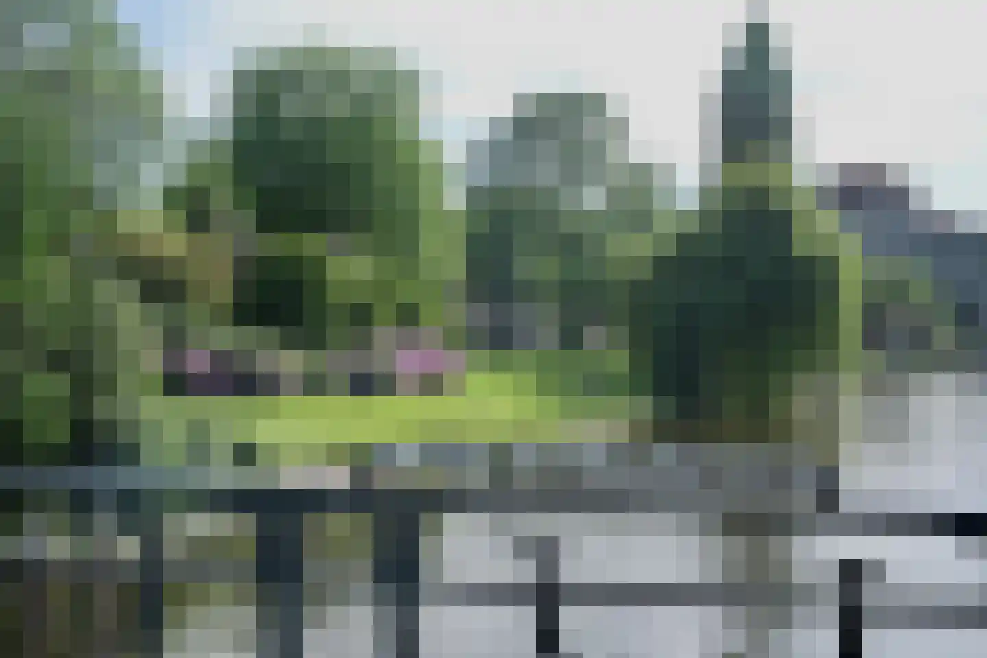 Plantage Middenlaan 84 3 Amsterdam thumbnail 50