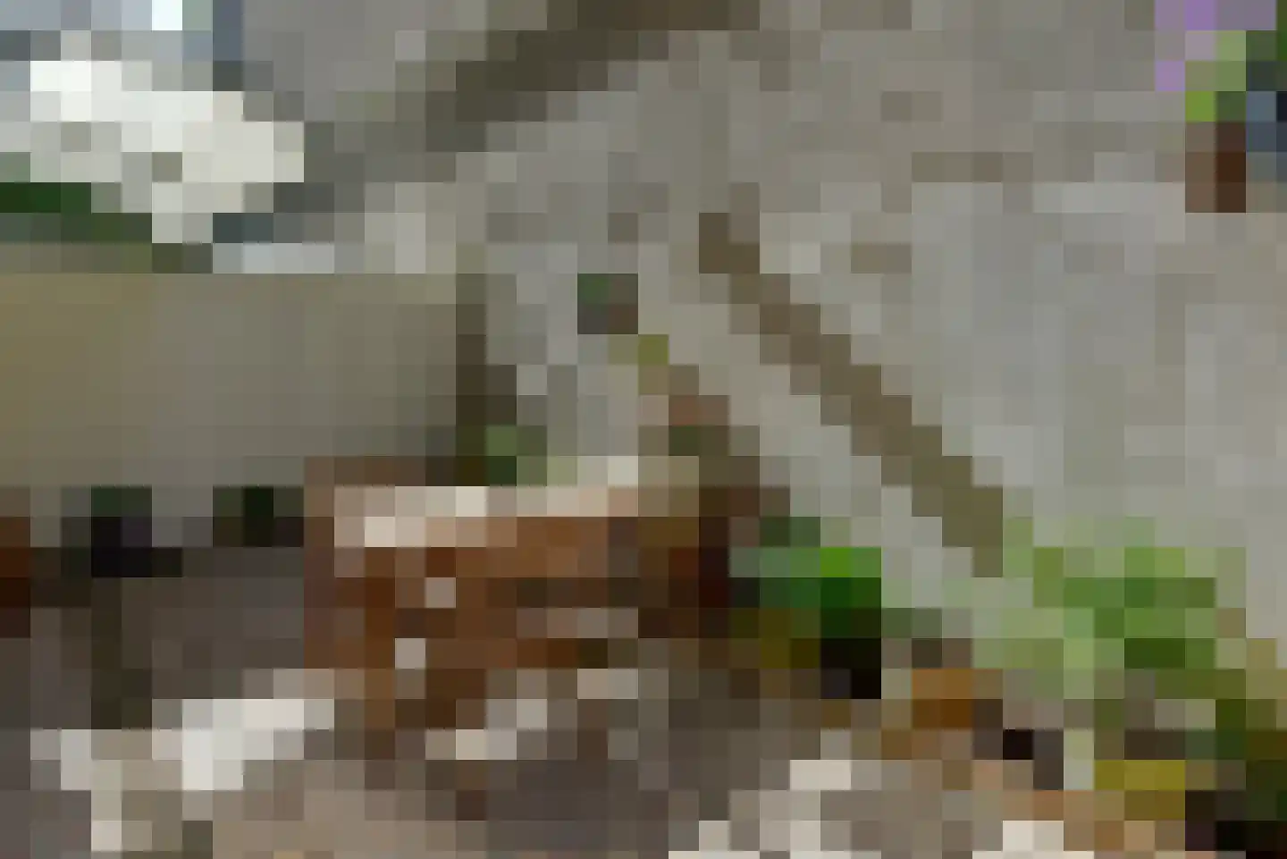 Plantage Middenlaan 84 H Amsterdam thumbnail 24