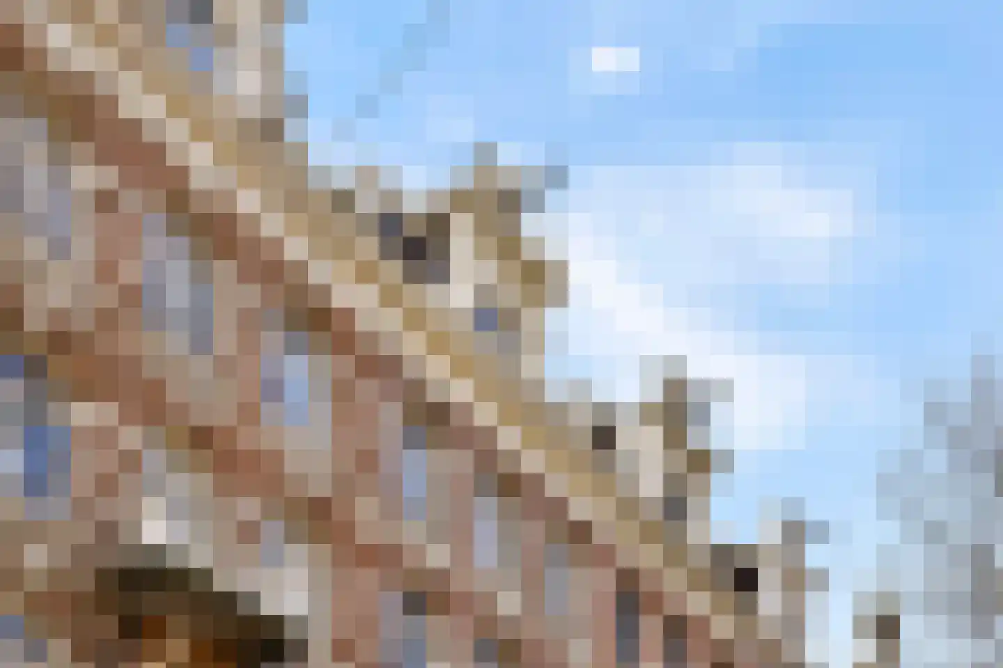 Plantage Middenlaan 86 3 Amsterdam thumbnail 24