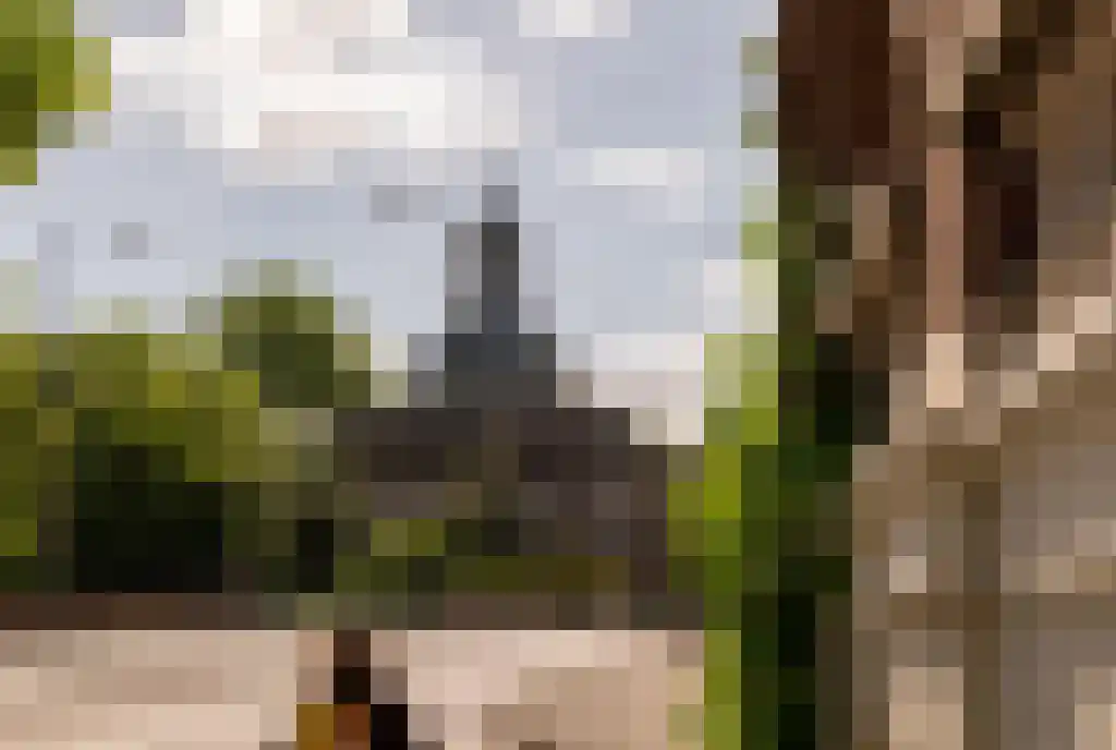 Plantage Middenlaan 86 3 Amsterdam thumbnail 26