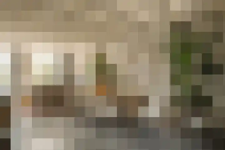 Plantage Muidergracht 141 3 Amsterdam thumbnail 4