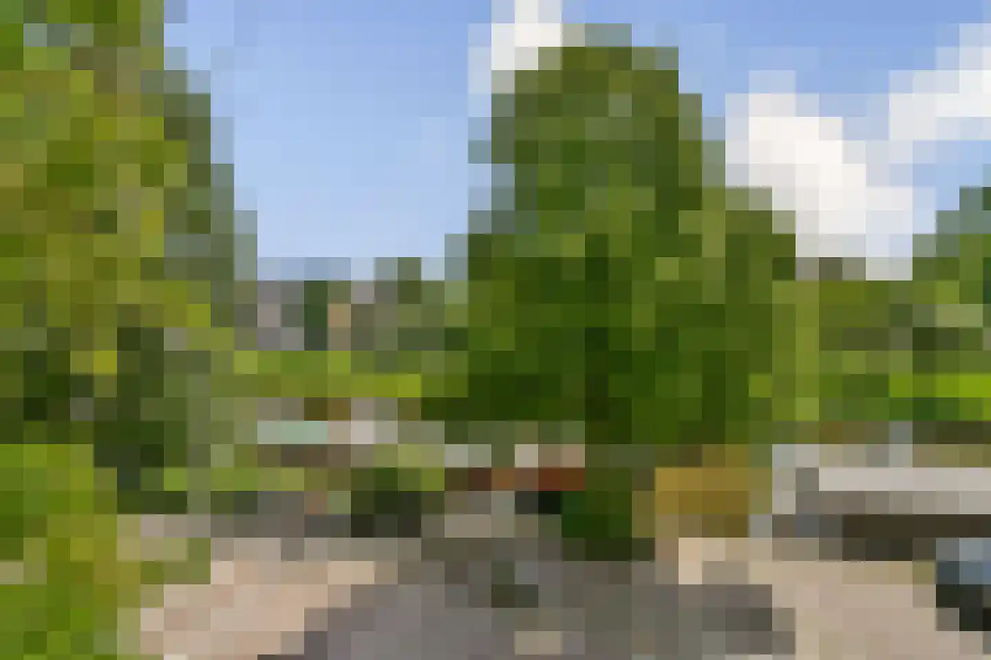 Plantage Muidergracht 147 3 Amsterdam thumbnail 21