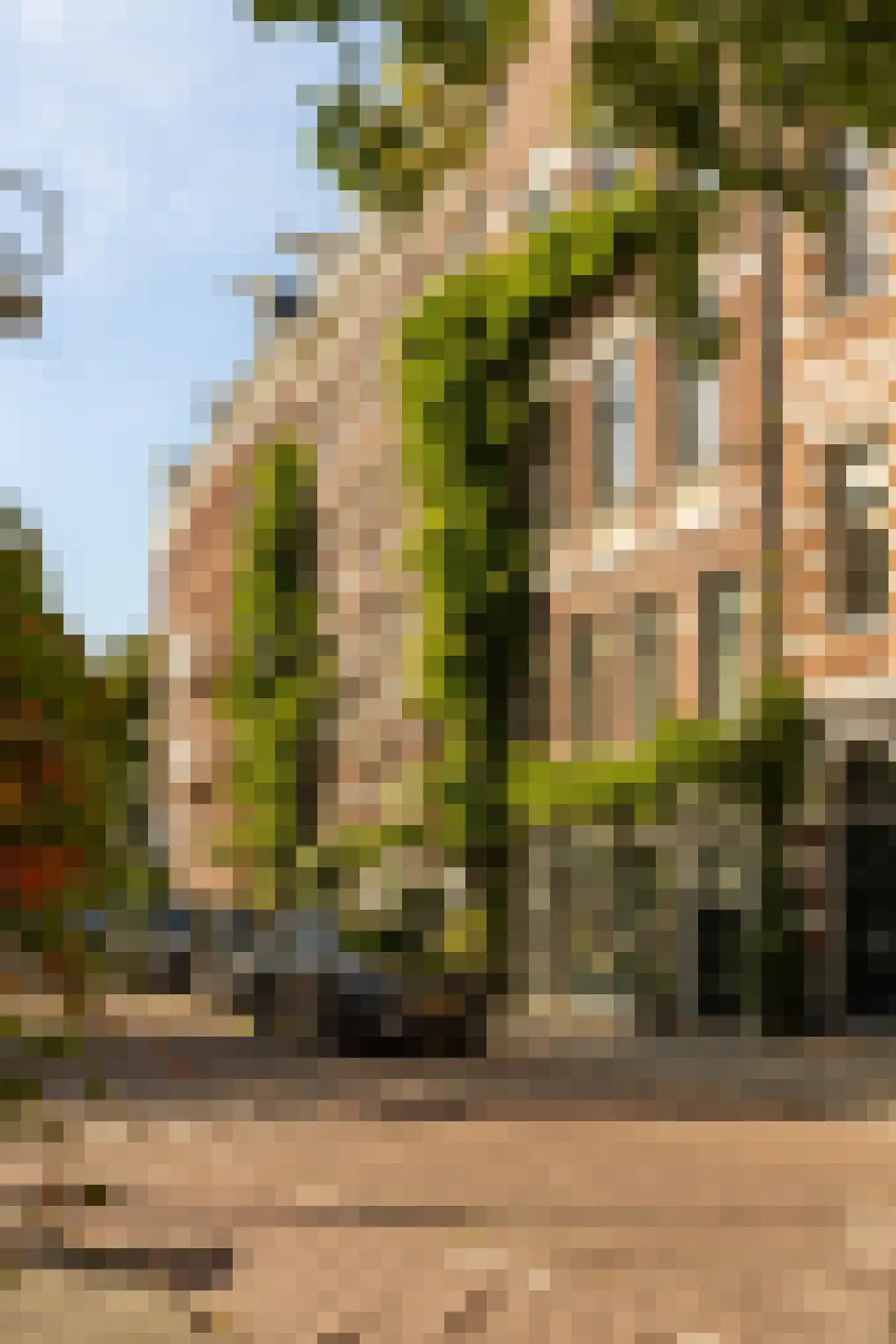 Plantage Muidergracht 147 H in Amsterdam