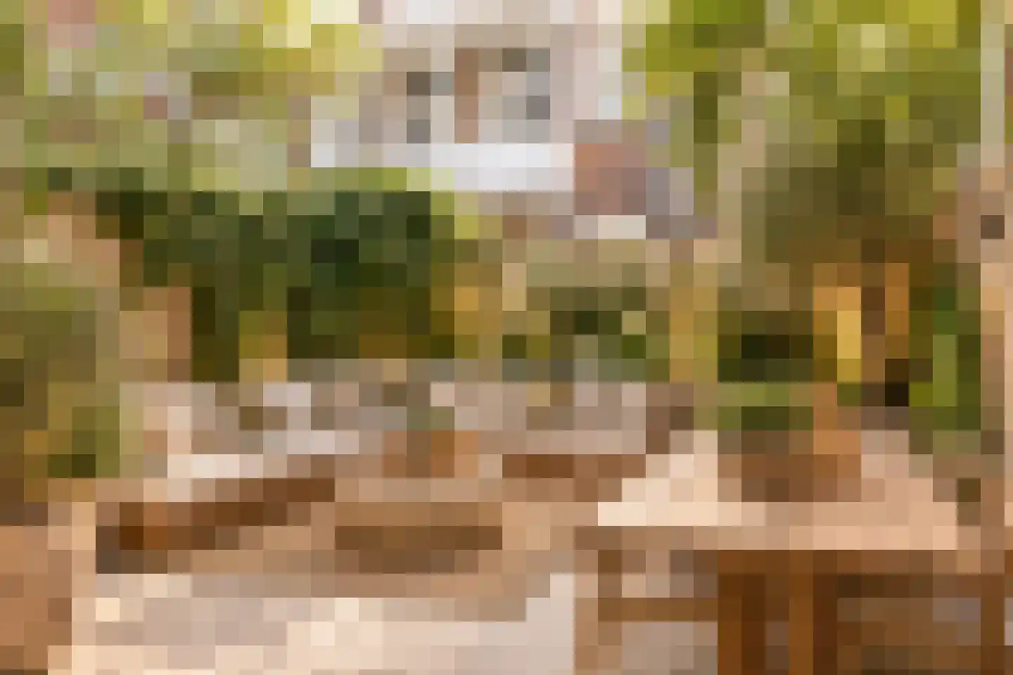 Plantage Muidergracht 147 H Amsterdam thumbnail 35