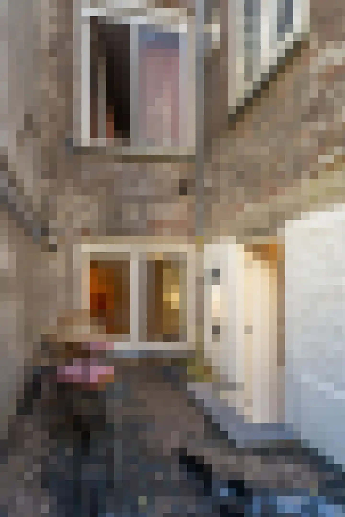 Plantage Muidergracht 147 H Amsterdam thumbnail 37
