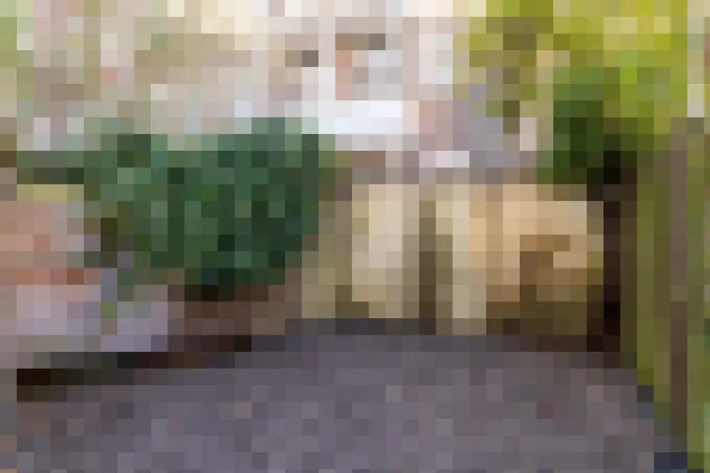 Plantage Muidergracht 147 H Amsterdam thumbnail 4