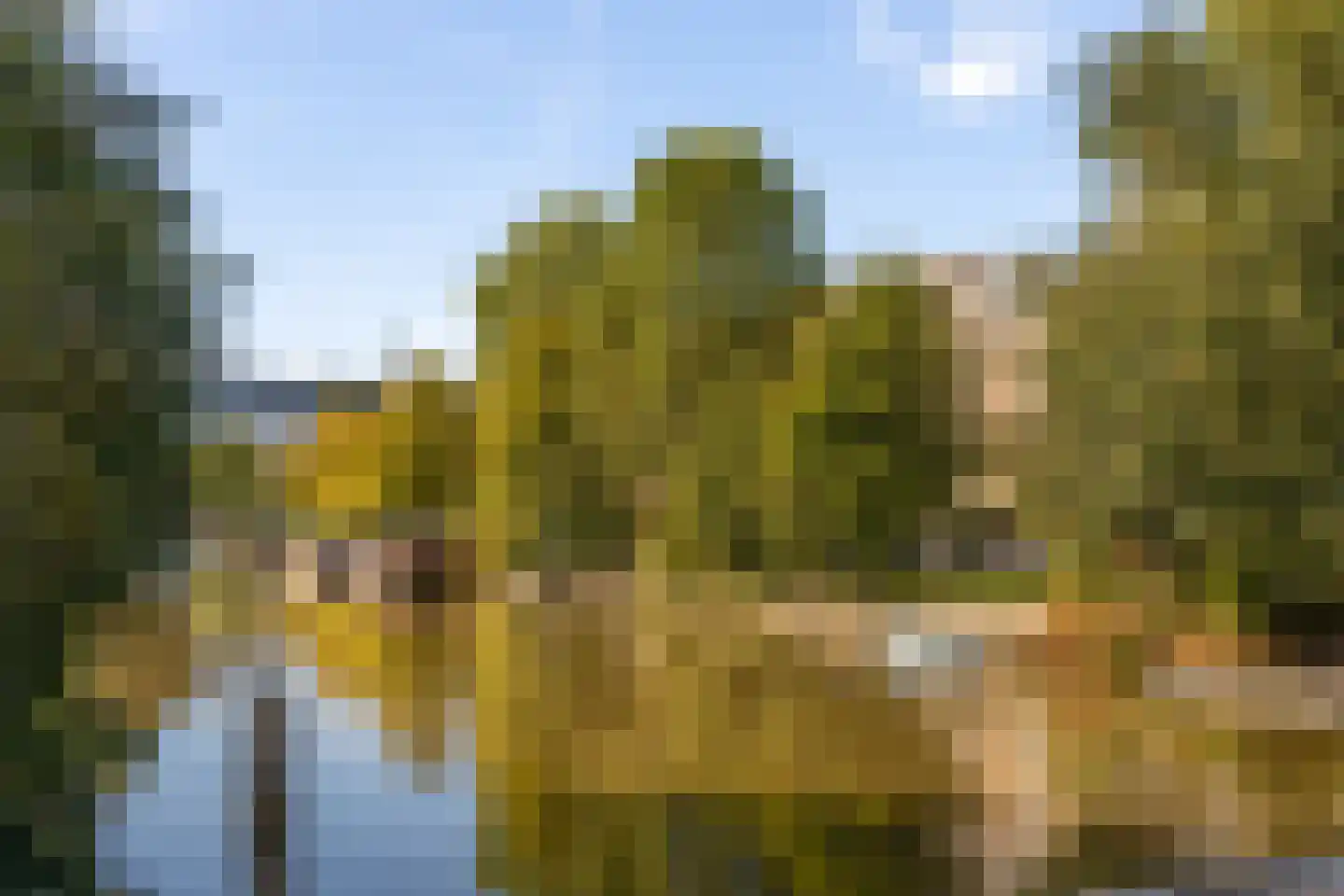 Plantage Muidergracht 147 H Amsterdam thumbnail 45