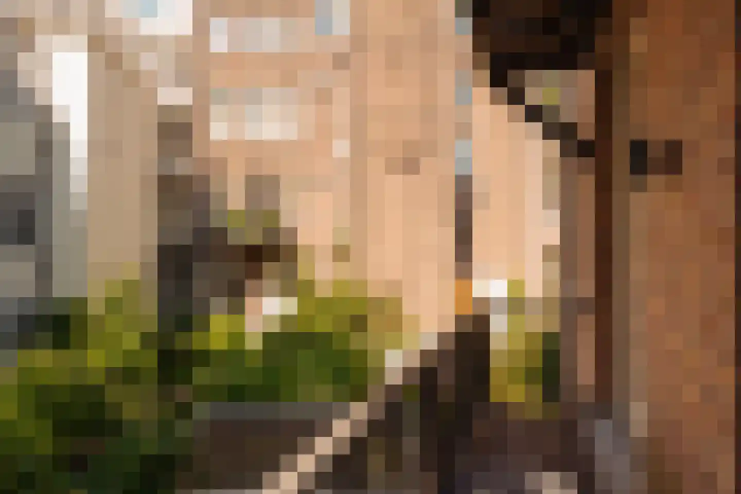 Plantage Muidergracht 155 B Amsterdam thumbnail 42