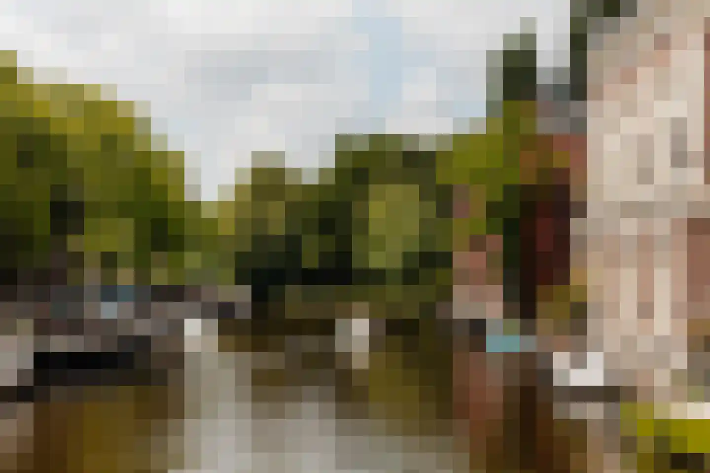 Plantage Muidergracht 155 B Amsterdam thumbnail 50