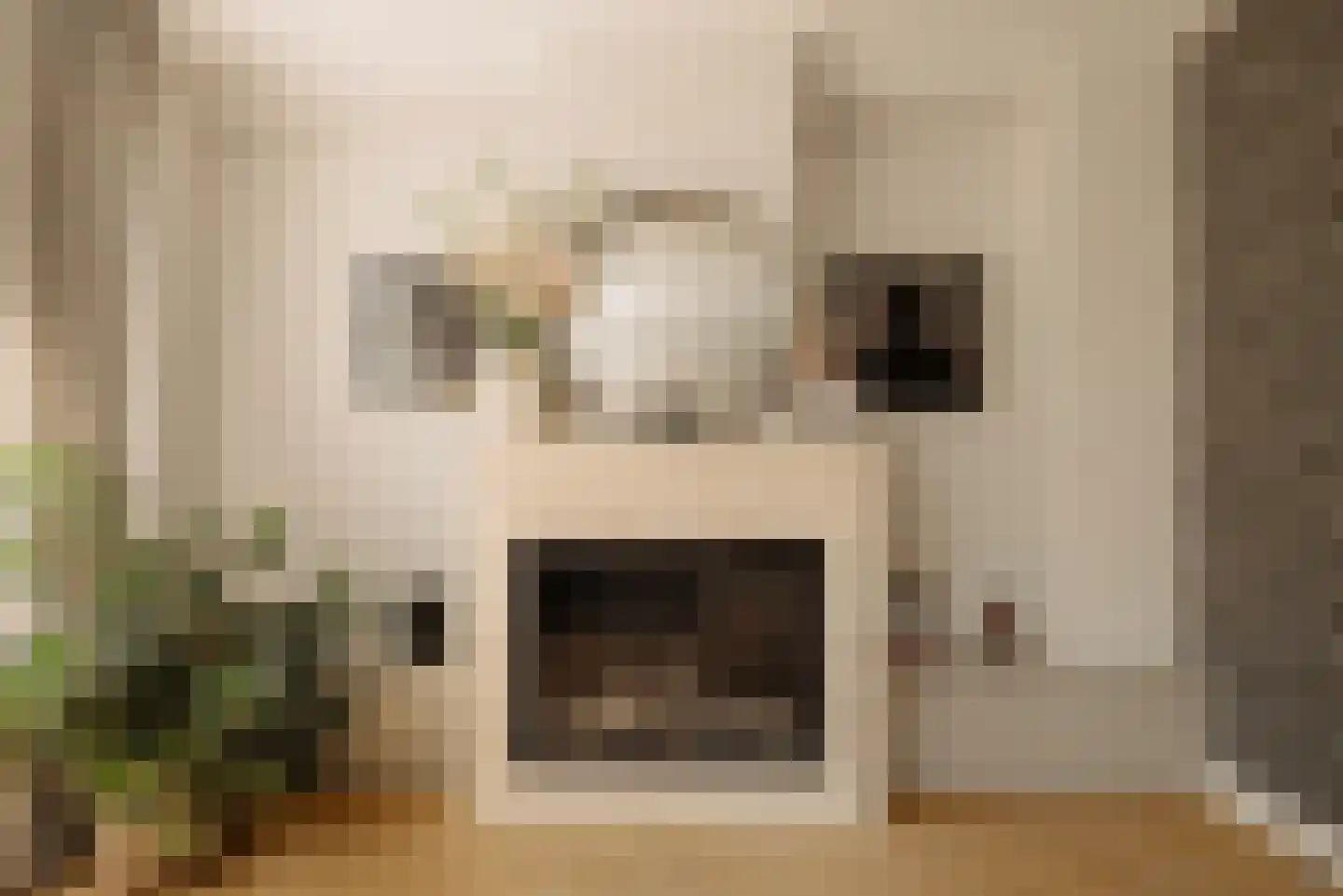 Plantage Muidergracht 155 B Amsterdam thumbnail 8