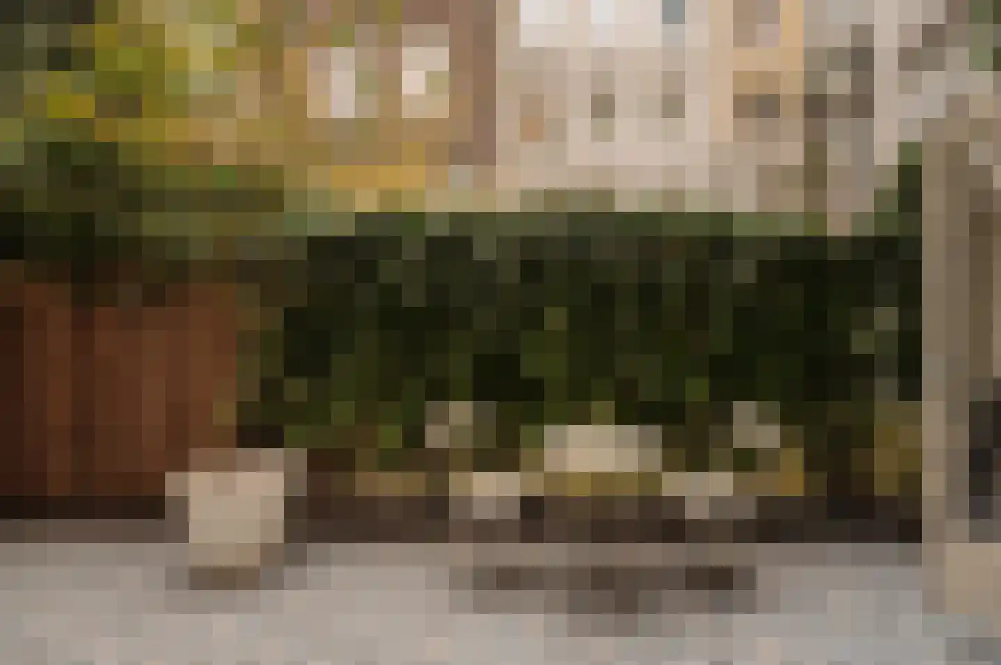 Plantage Muidergracht 157 H Amsterdam thumbnail 32