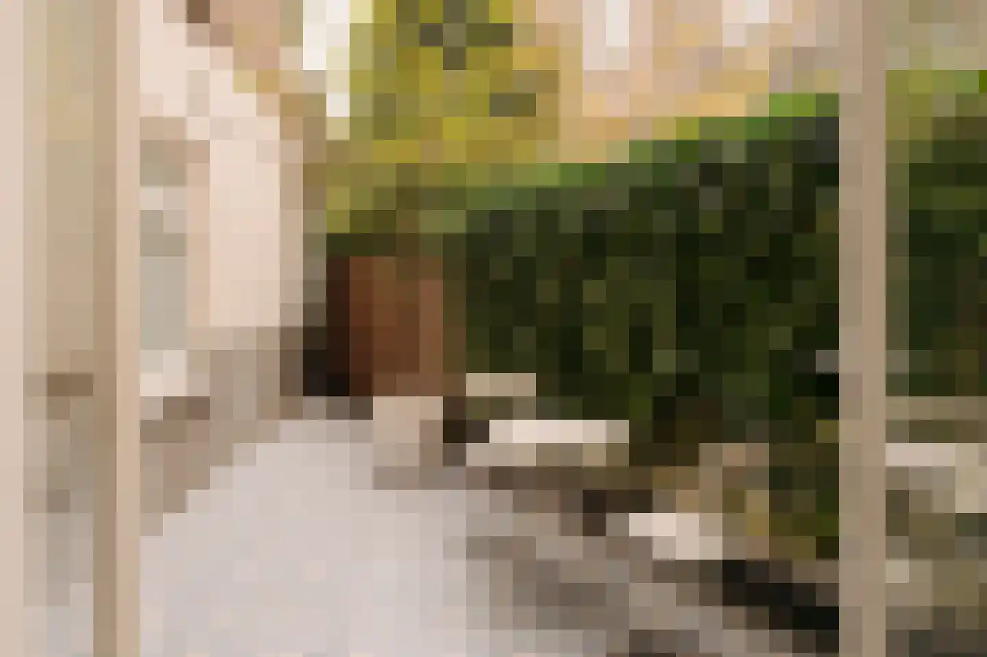 Plantage Muidergracht 157 H Amsterdam thumbnail 5