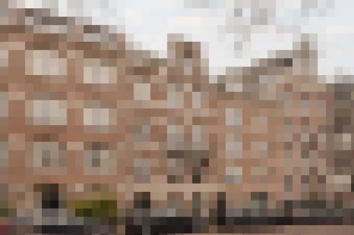 Plantage Muidergracht 157 H Amsterdam thumbnail 6