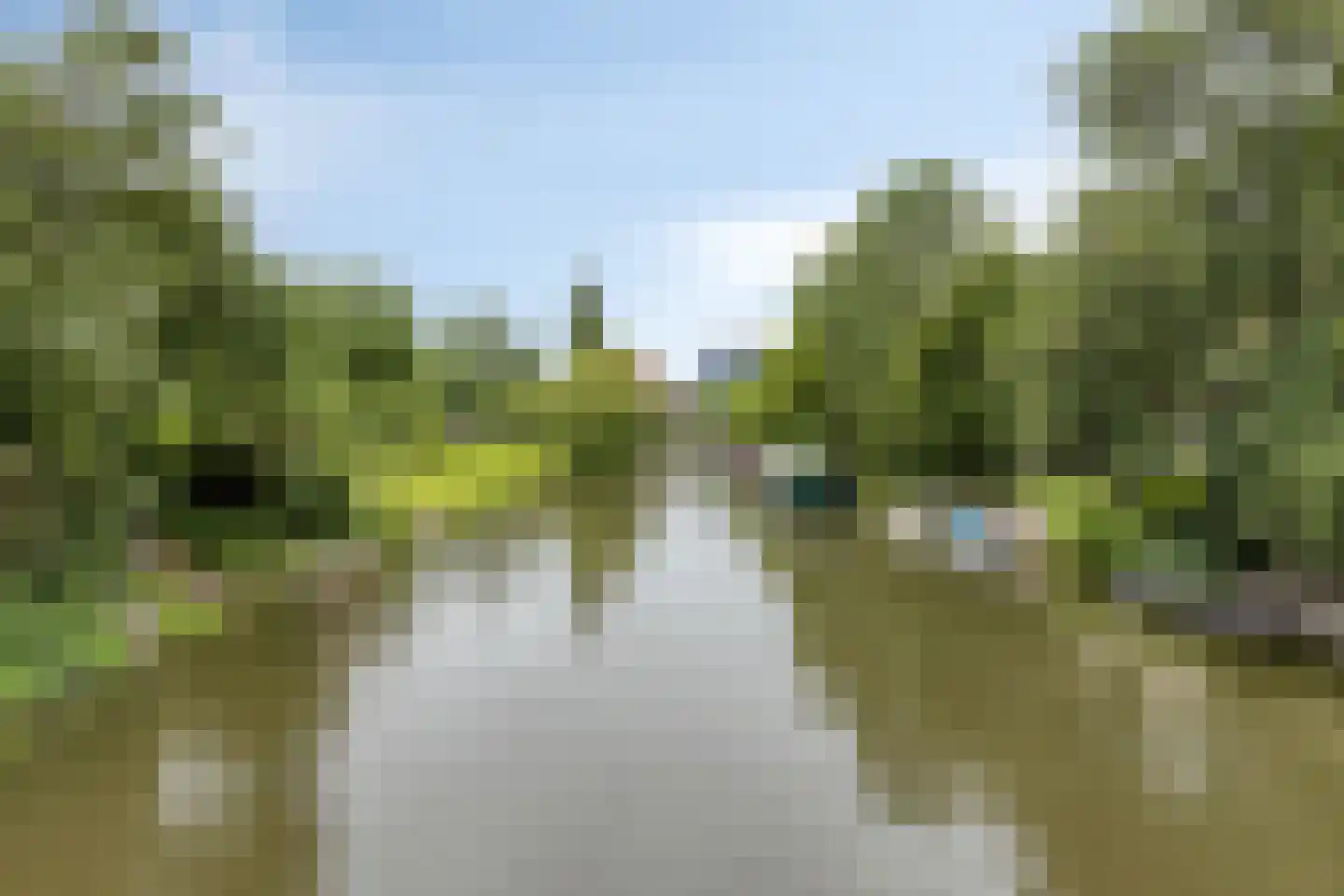 Plantage Muidergracht 161 1 Amsterdam thumbnail 46