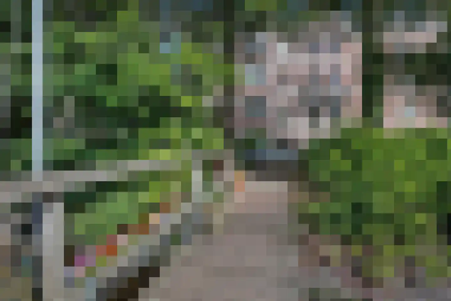 Plantage Muidergracht 206 Amsterdam thumbnail 24