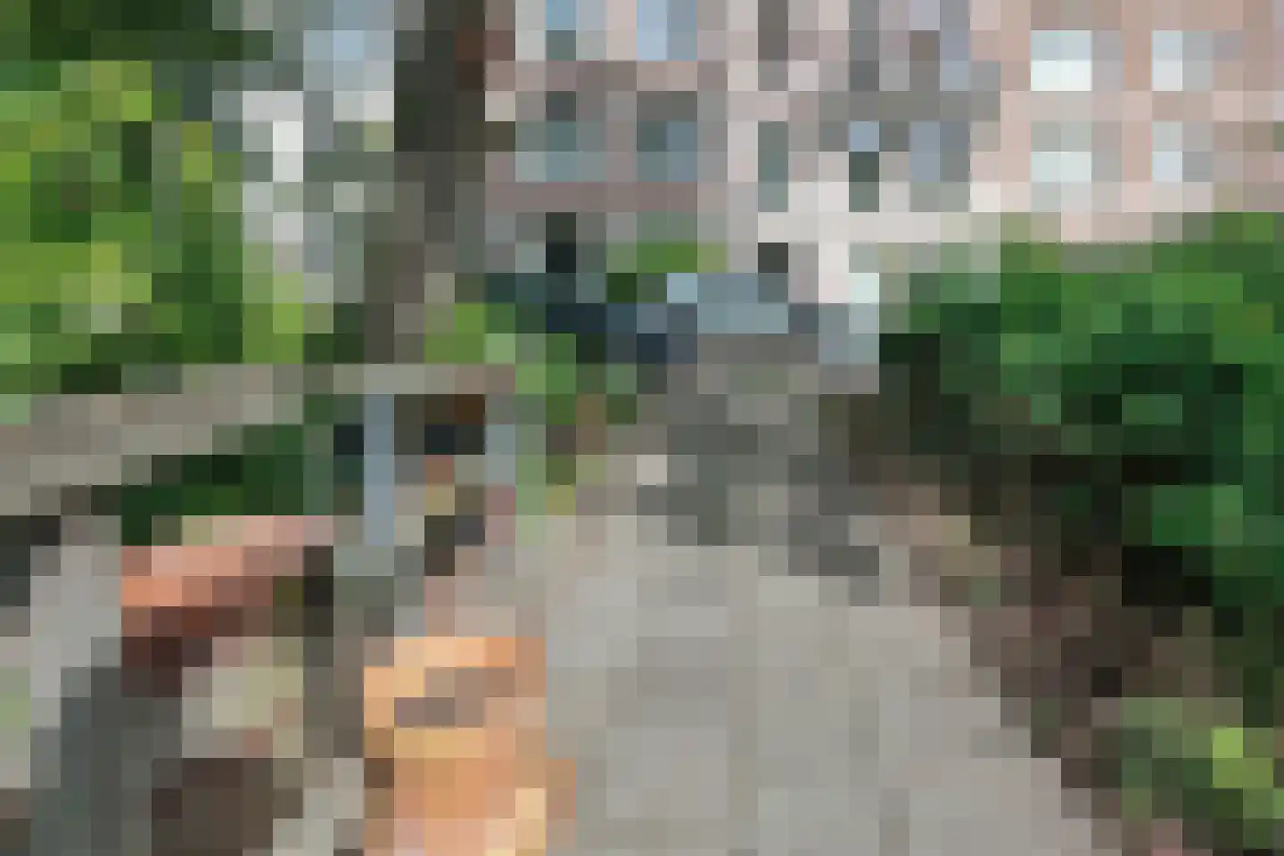 Plantage Muidergracht 206 Amsterdam thumbnail 25