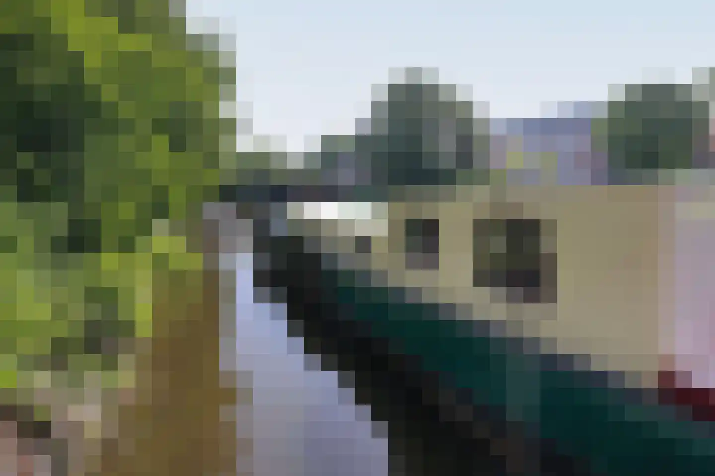 Plantage Muidergracht 206 Amsterdam thumbnail 27