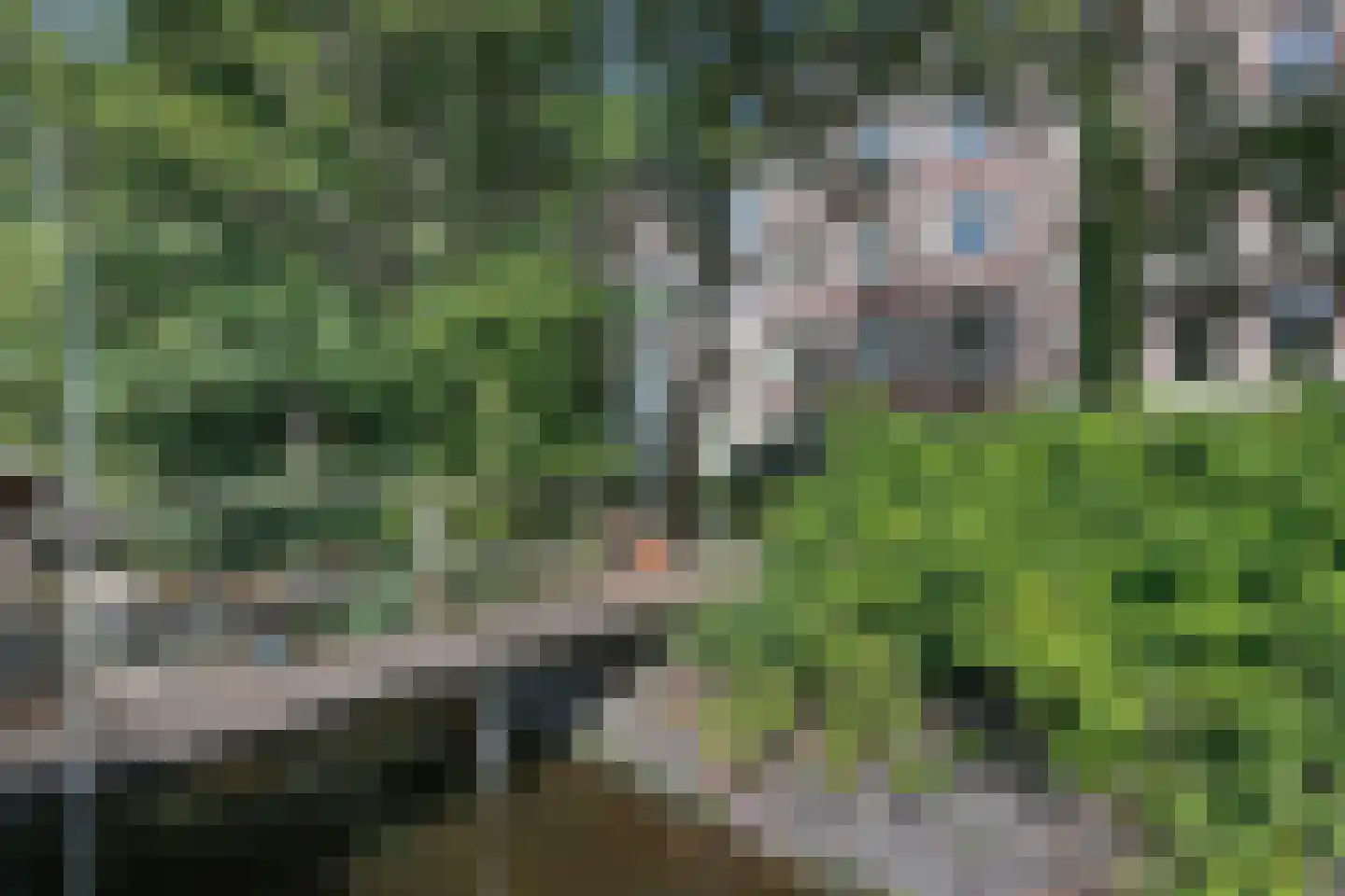 Plantage Muidergracht 206 Amsterdam thumbnail 32