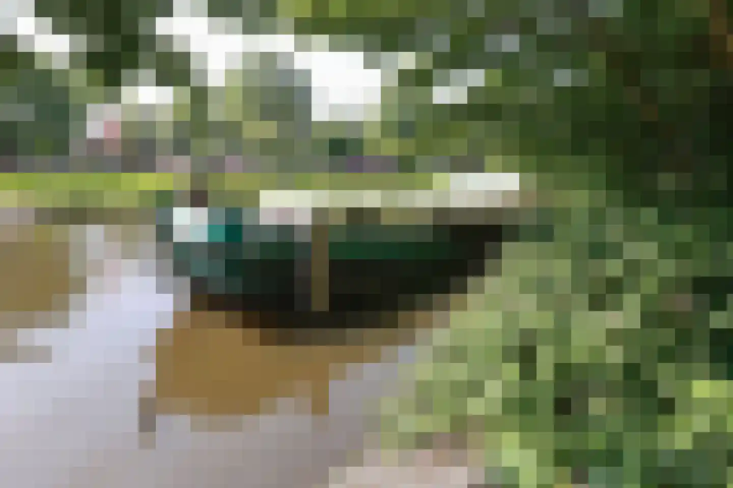 Plantage Muidergracht 206 Amsterdam thumbnail 37