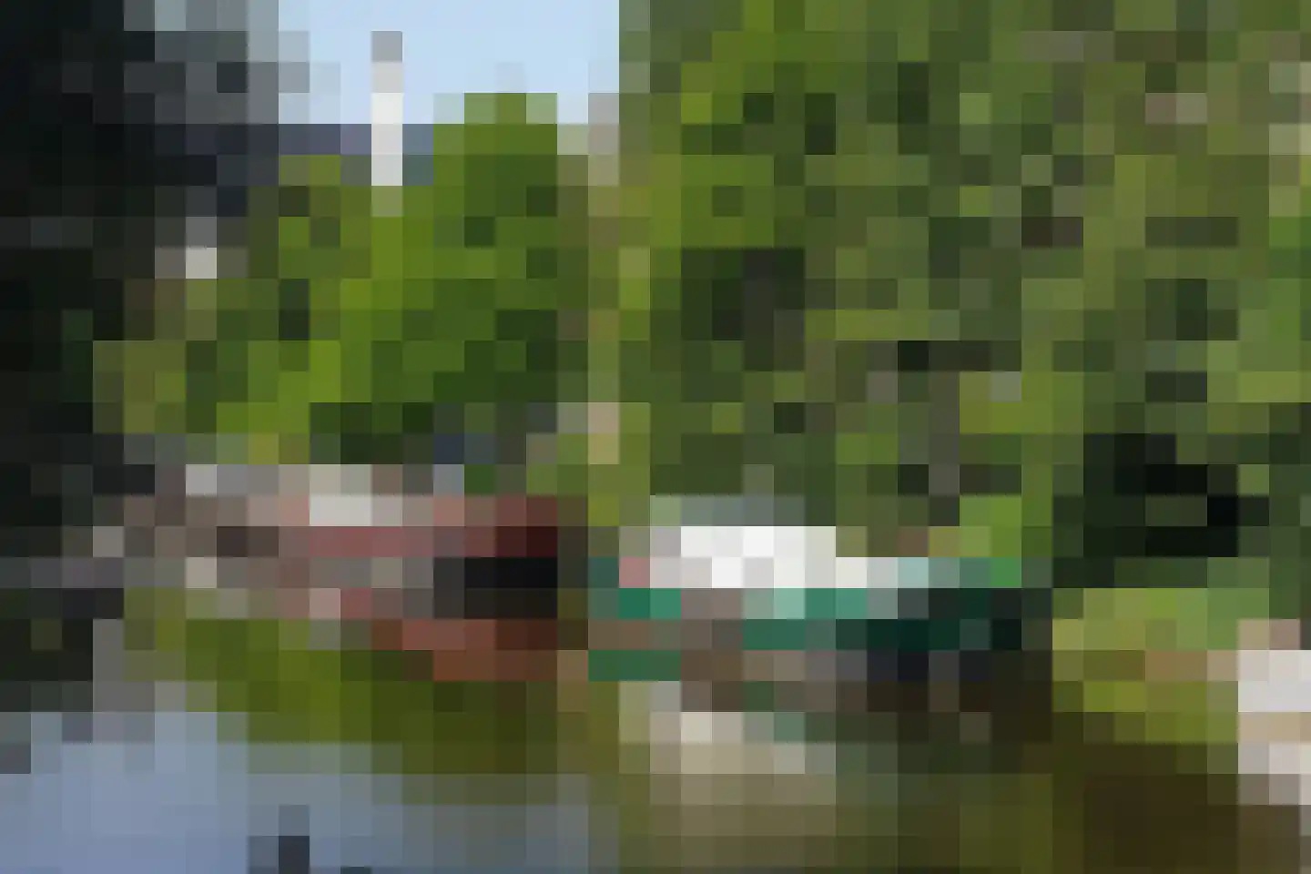 Plantage Muidergracht 206 Amsterdam thumbnail 38