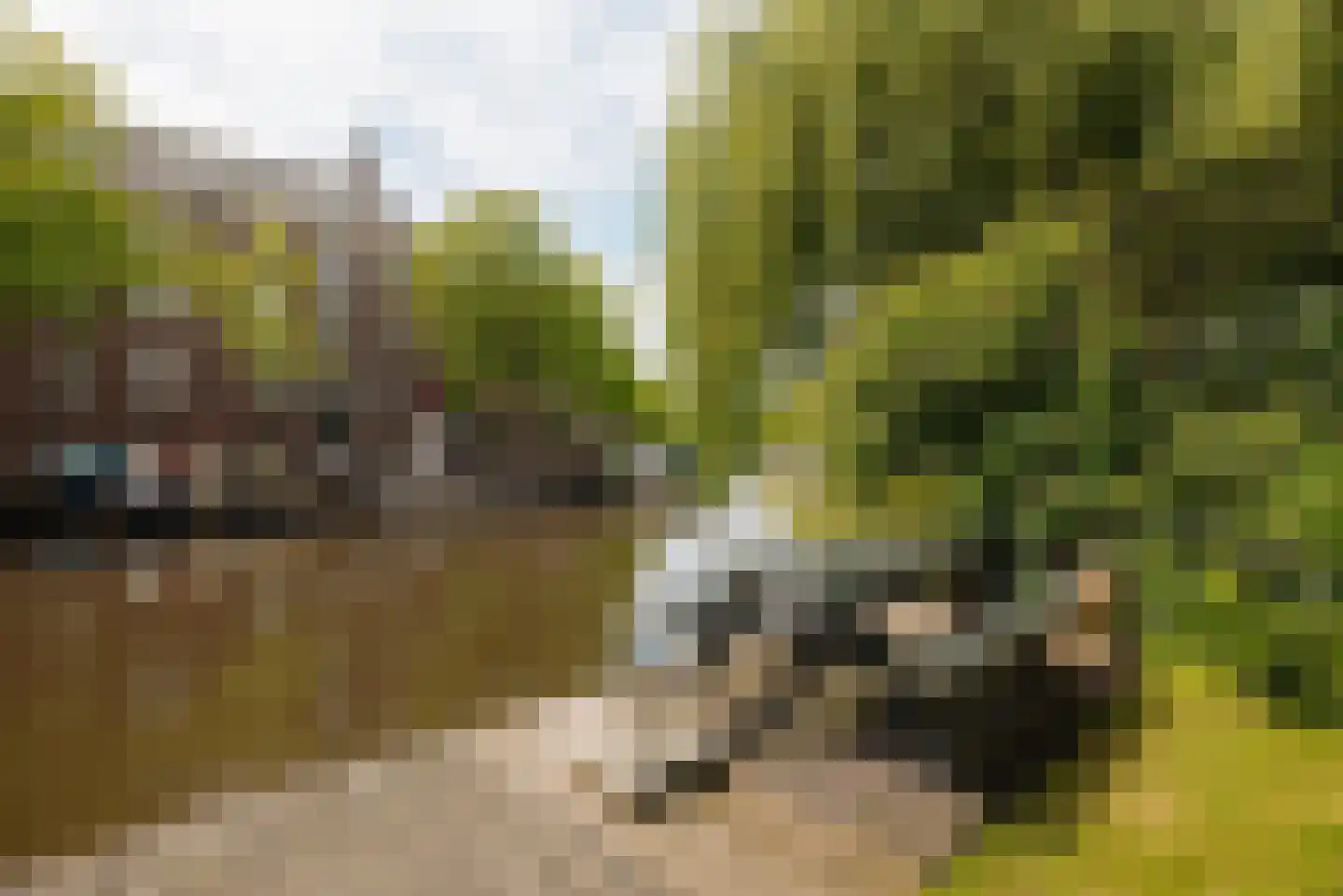 Plantage Muidergracht 4 E Amsterdam thumbnail 5